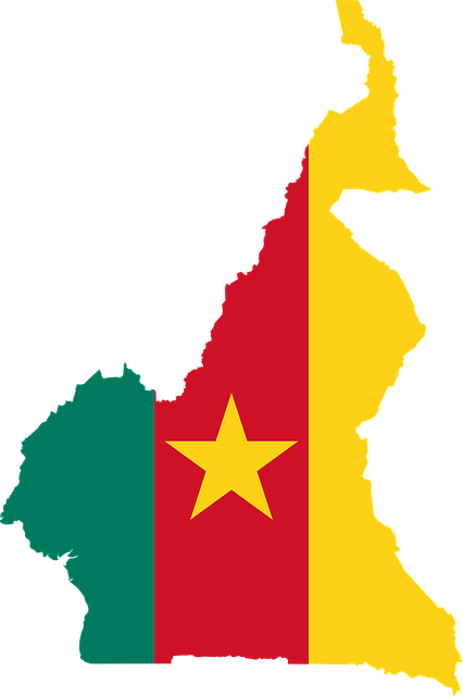 Bien communiquer au Cameroun : guide stratégique pour vos relations presse