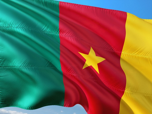Top Médias Populaires au Cameroun : Télévisions et Radios Incontournables (2025)