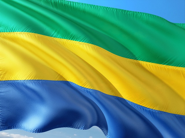 Top Médias Populaires en Ligne au Gabon : Classement 2025